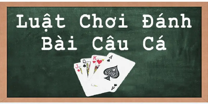 Luật chơi cực chuẩn dành cho người mới về bài câu cá