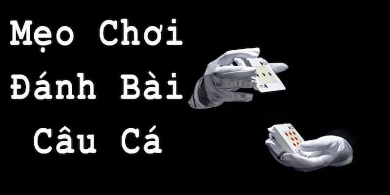 Cập nhật các mẹo để chơi thắng bài câu cá