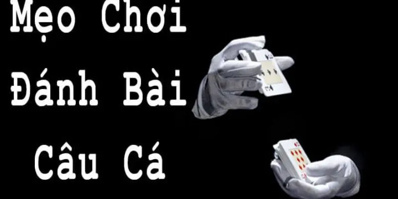 Bật mí cách chơi bài câu cá luôn thắng